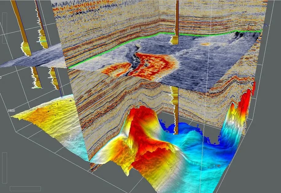 Three-dimensional seismic volume with interpreted horizons and a coloured surface