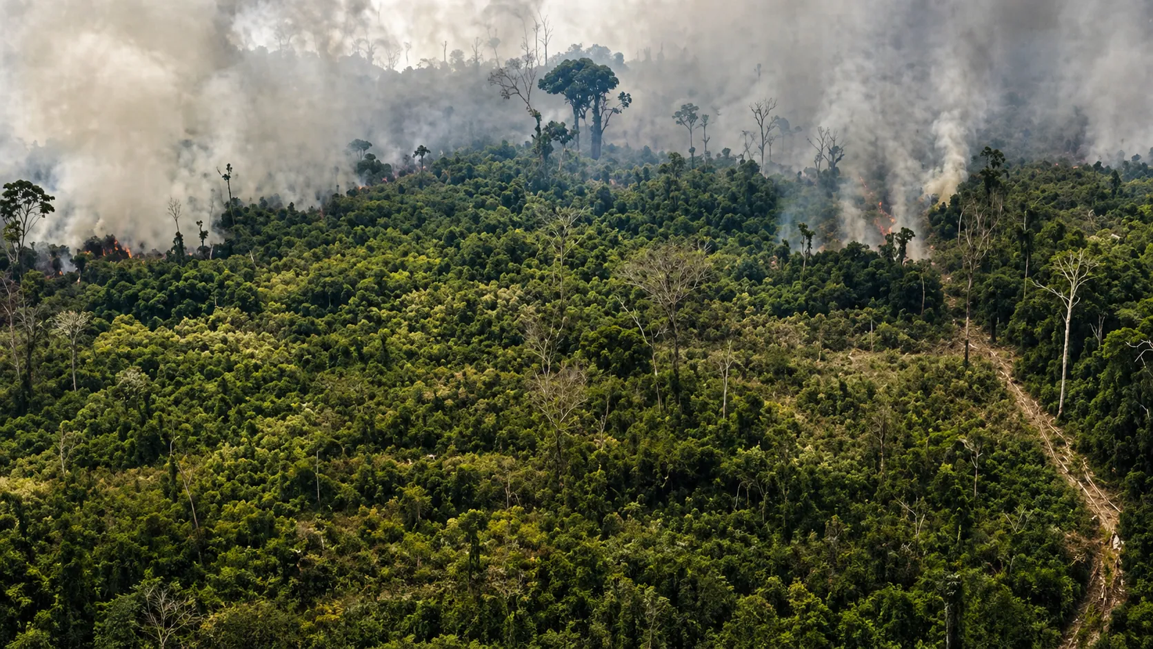 Africa FireShield Initiative (4)